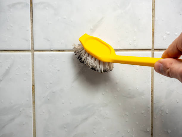 Best Local Mold Removal Service  in Saint Davids, PA